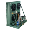4NE-20Y-40P / ACS-450A